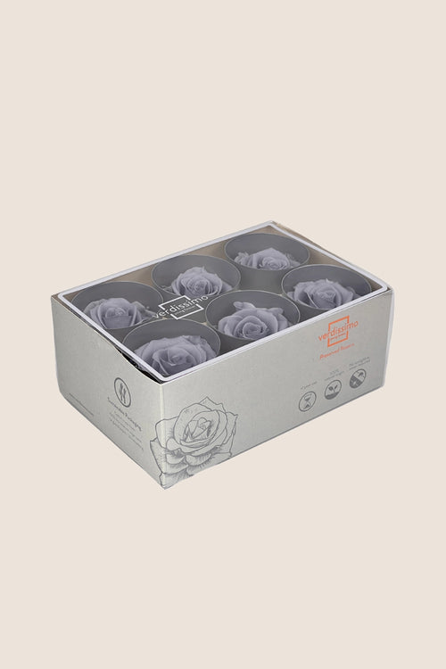 Rose Standard - Box mit 6 Köpfen