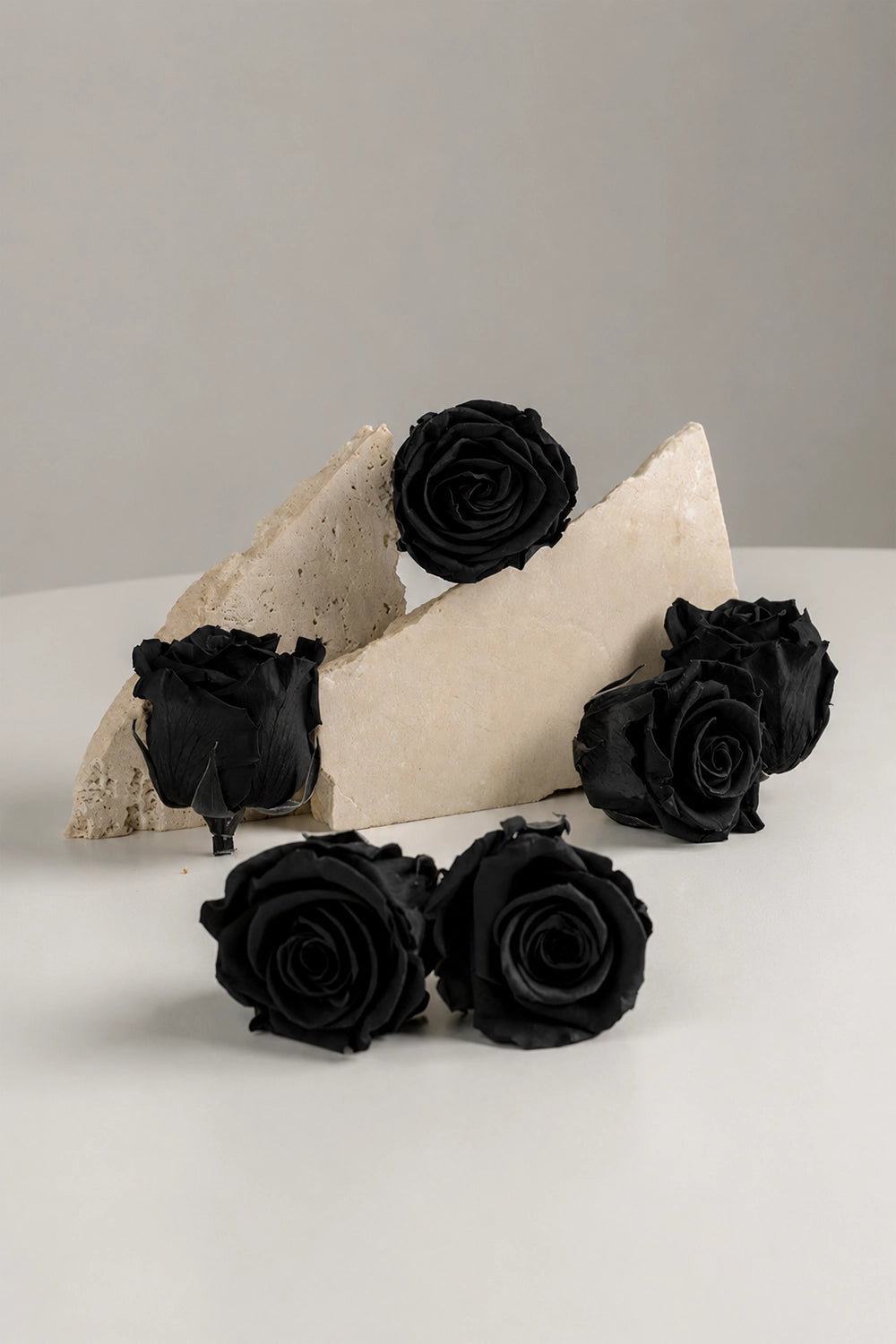 Rose Standard - Boîte 6 têtes