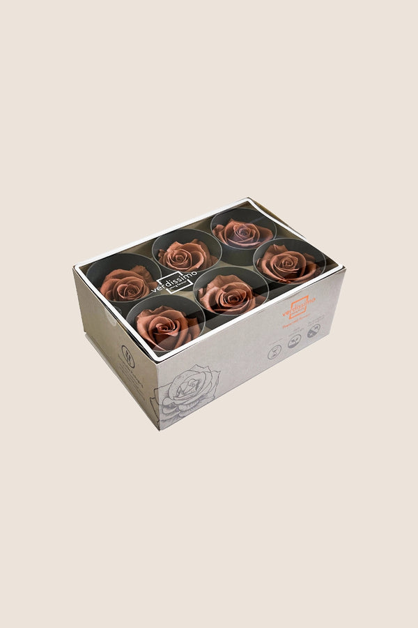 Rose Standard - Boîte 6 têtes