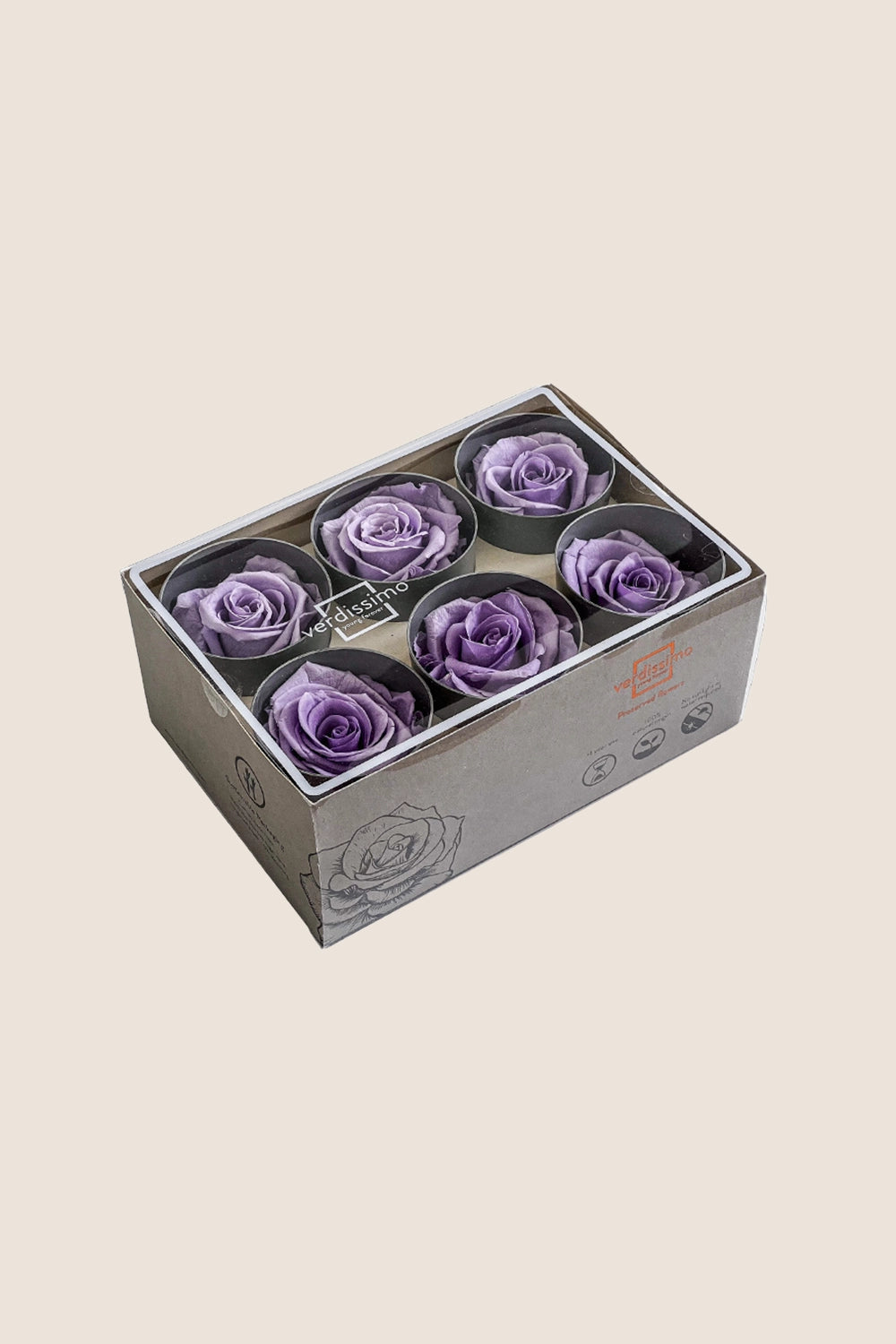 Rose Standard - Boîte 6 têtes