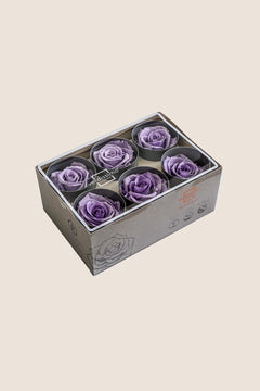 Violet pastel