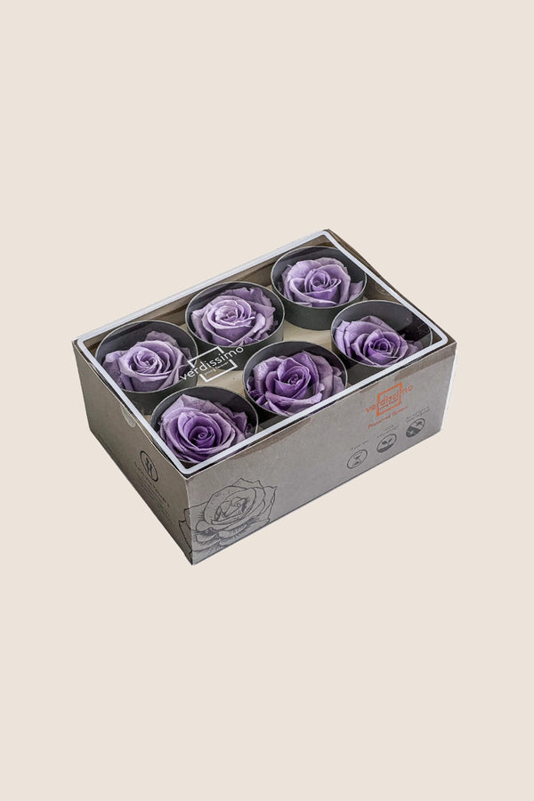 Rose Standard - Boîte 6 têtes
