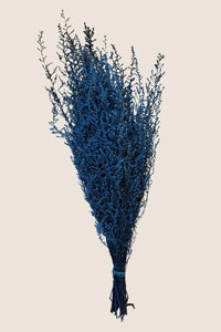 Bleu poudré