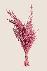 Corail