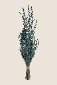 Menthe Pâle