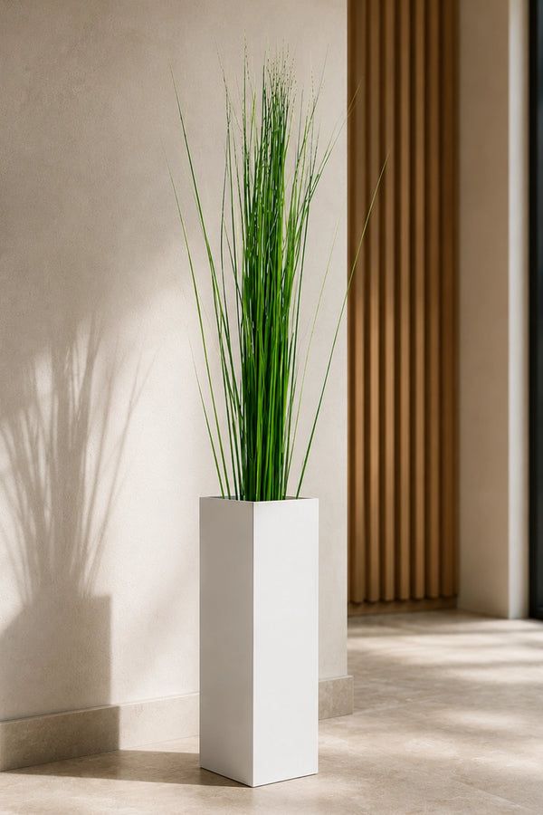 Herbe d'acier