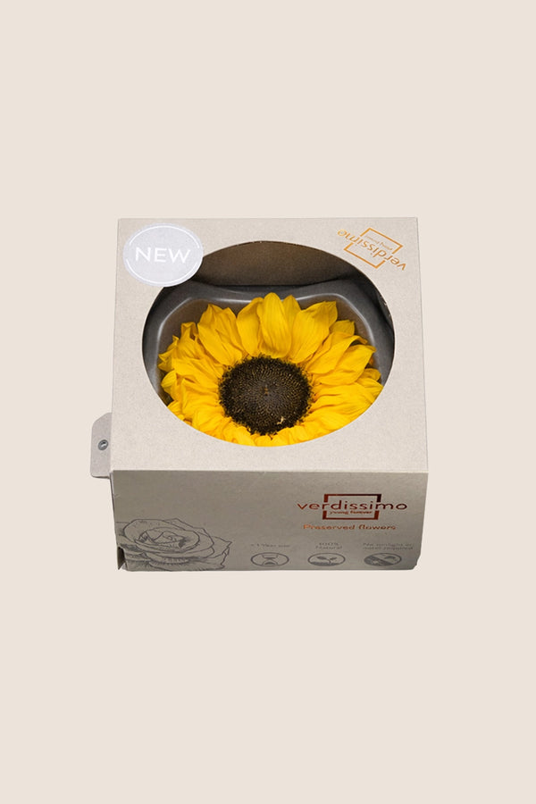Sunflower 1 Ud.