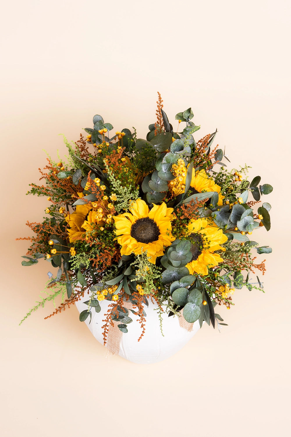 Tournesol 1 Unité
