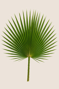 120-140 cm