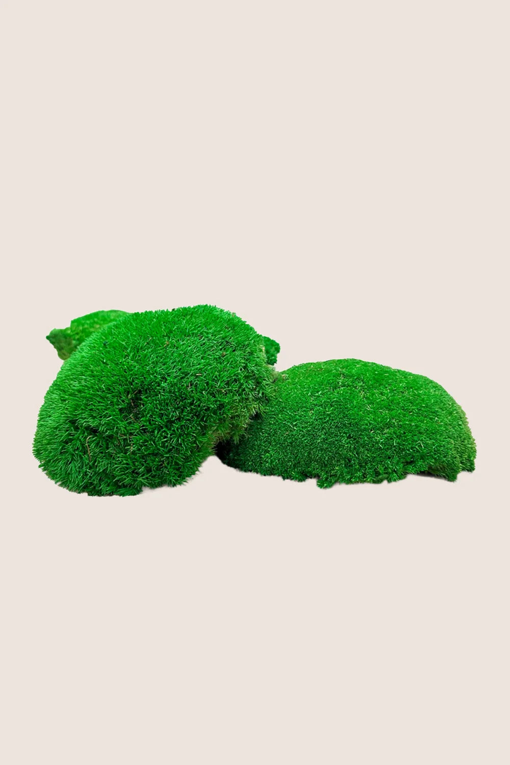 Polemoss - Caja a granel