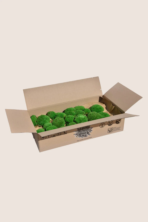 Polemoss - Bulk Box