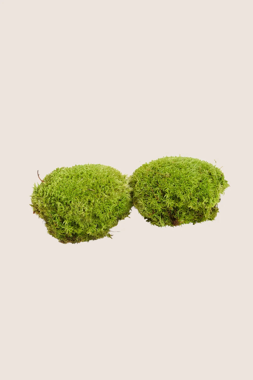 Polemoss - Caja a granel