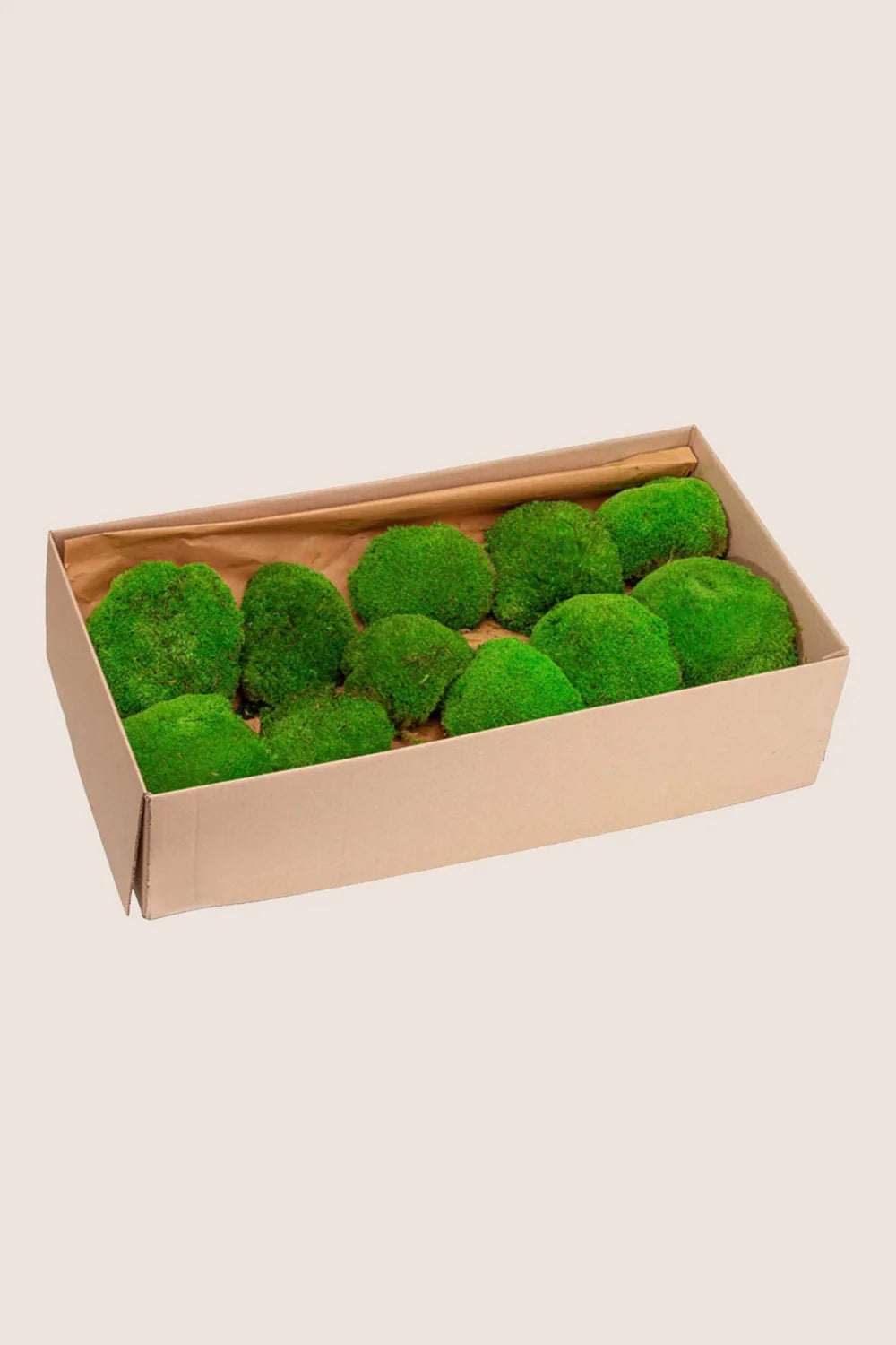 Polemoss XL - Bulk Box