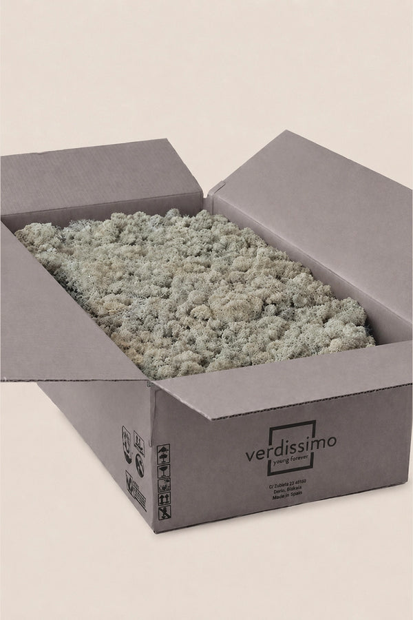 Liquen ~5Kg - Caja a Granel