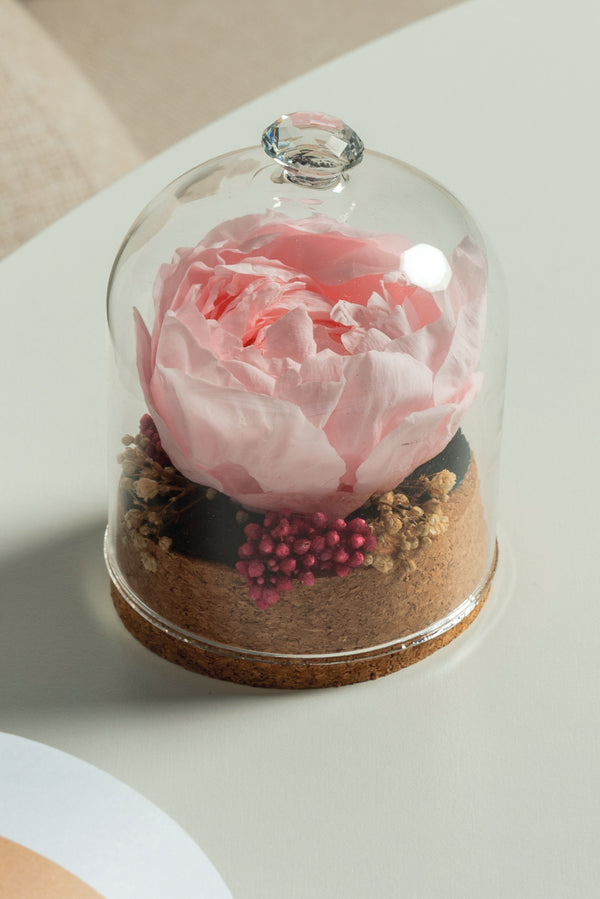 Peony Dome