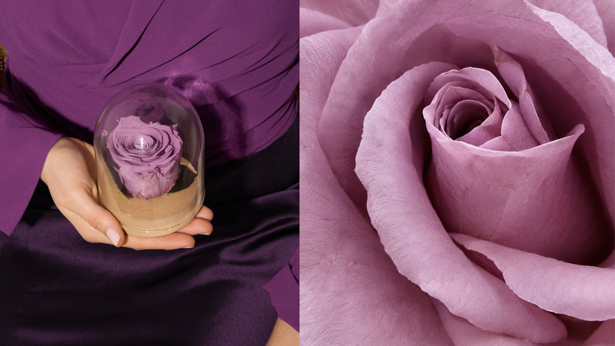 <p>Halloween&nbsp;<br/>with flowers</p>