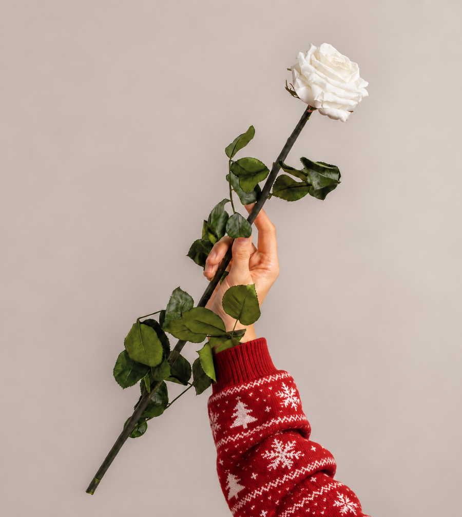 <p>Flowers</p>