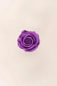 Lilas