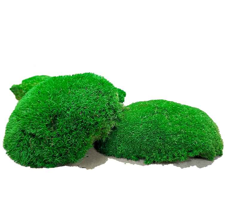 Natural Preserved Cushion Moss