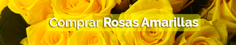 Banner-Rosas-amarillas