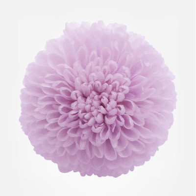 The meaning of chrysanthemums - Verdissimo