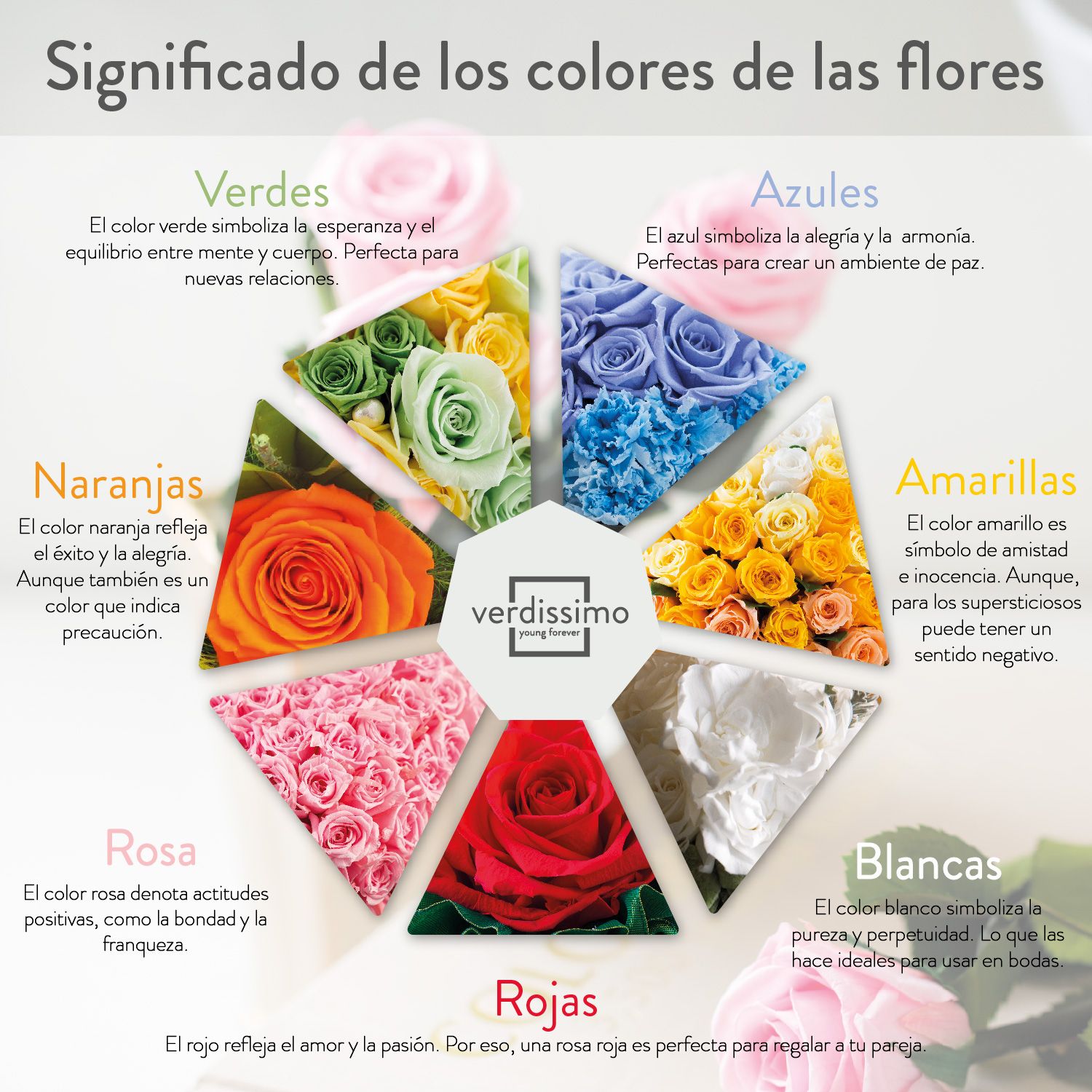 Details 48 color de las rosas