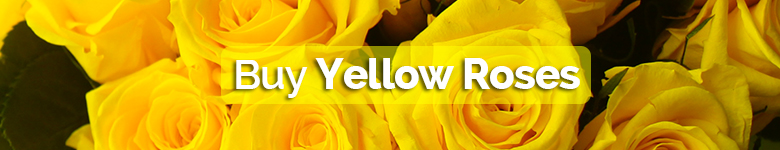 Buy yellow roses - Verdissimo