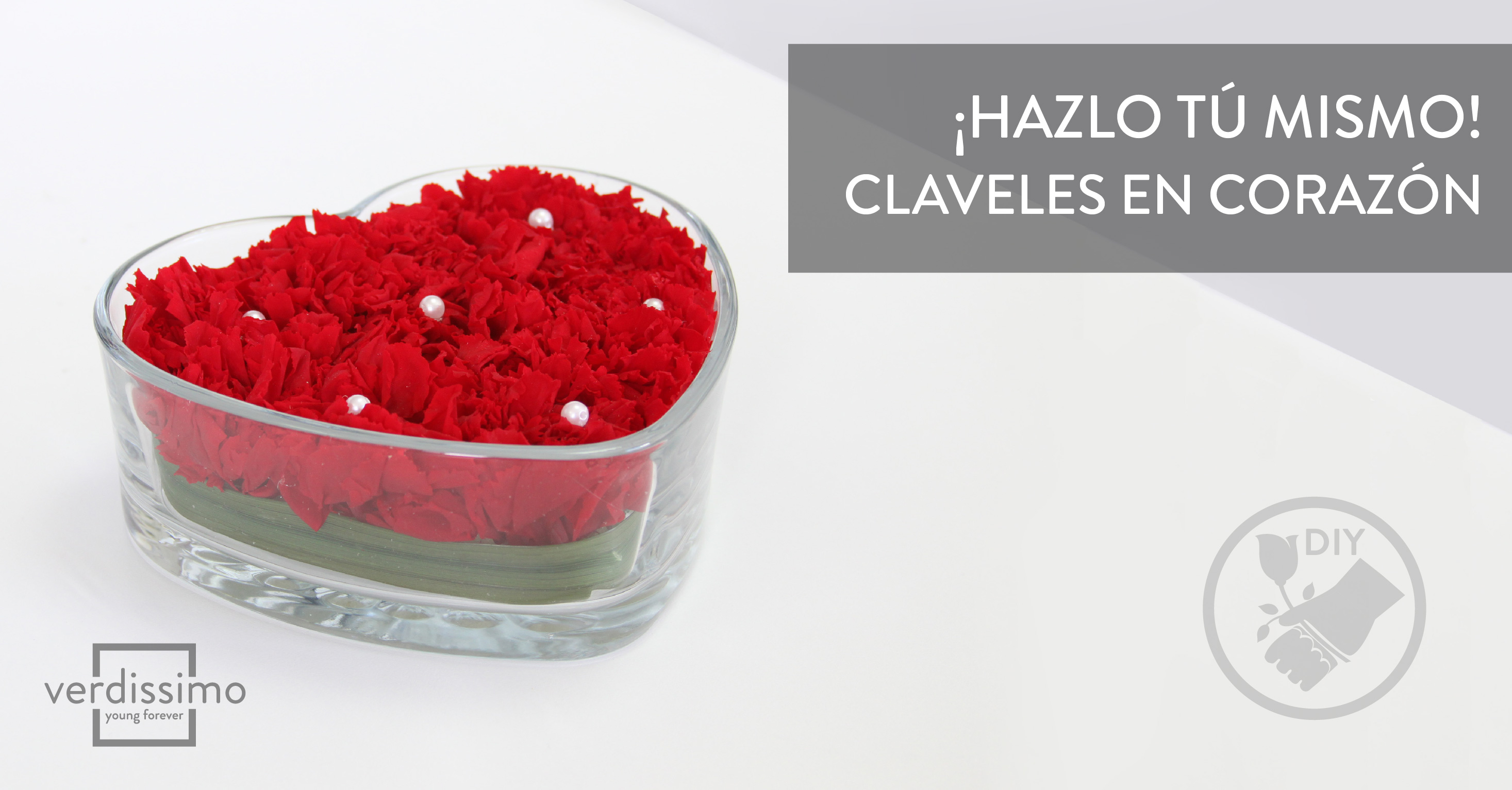 ¡Hazlo tú Mismo! Claveles en corazón - Verdissimo