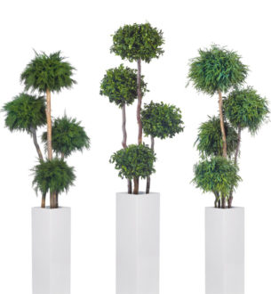 Topiary 4 Spheres - Verdissimo