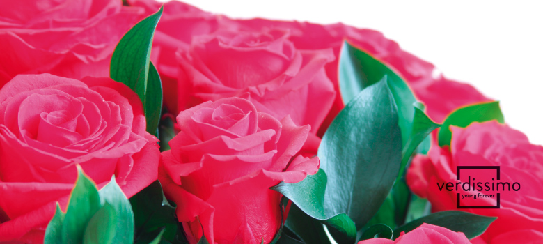 Comprar flores preservadas, naturales, secas o artificiales: ¿cuál