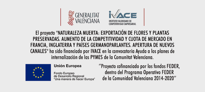 verdissimo consigue ayuda planes internalizacion pymes cv del ivace