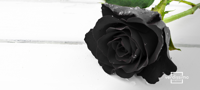 Descubrir 79+ imagen imagenes de rosas negras con frases - Viaterra.mx