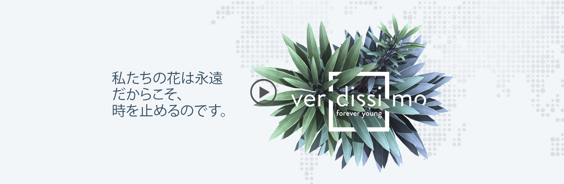 私たちに関しては - Verdissimo