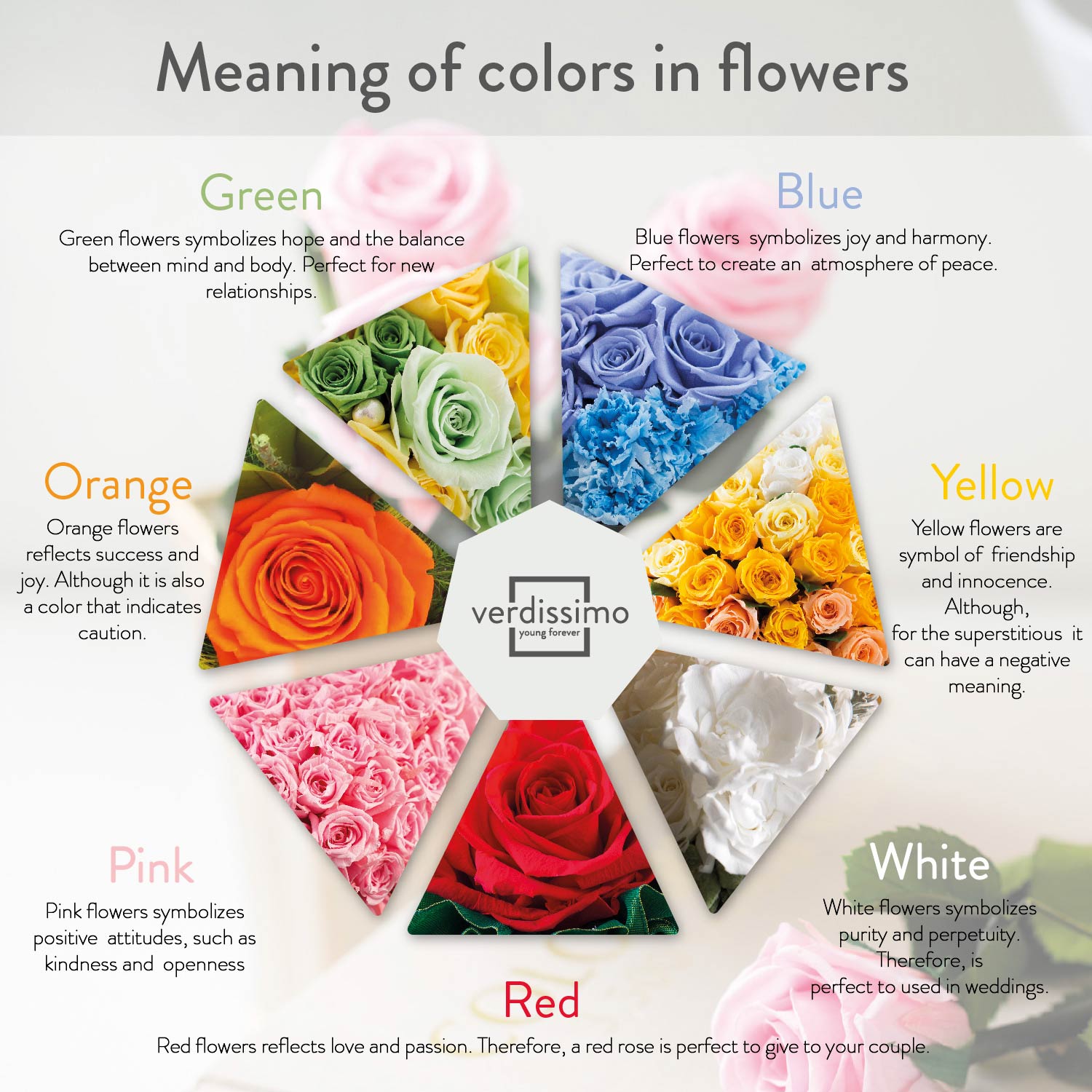 Rose Colours And Their Meanings