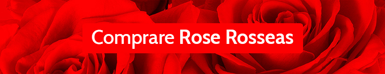 Banner Rose Rossa