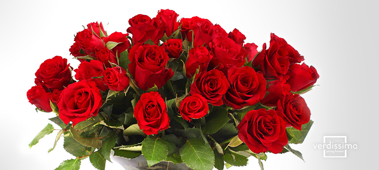 Ramo de 25 Rosas Eternas Rojo