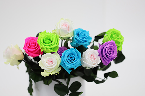 Rosas con tallos de Colores - Verdissimo