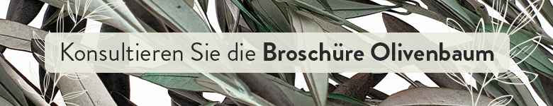 Broschure - Olivenbaum - Verdissimo