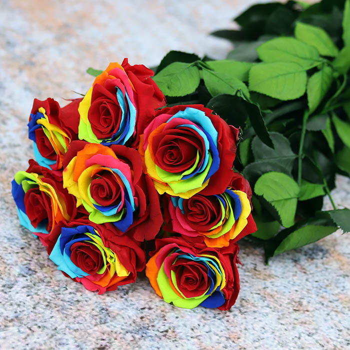 Shop Preserved Roses with Stems - Standard Size Roses - Verdissimo USA
