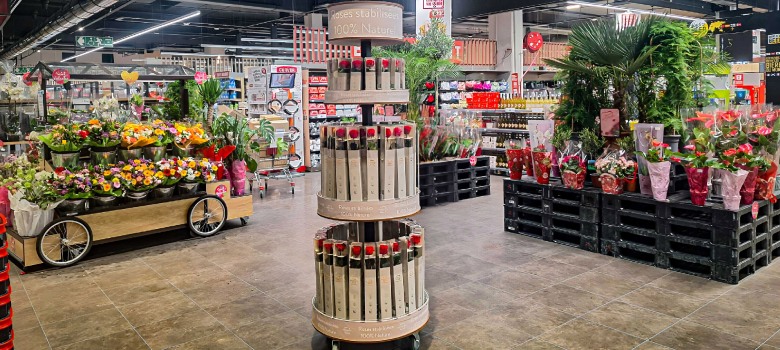 Transformando la forma de exhibir flores: Una revolución en el mercado de rosas preservadas - Verdissimo